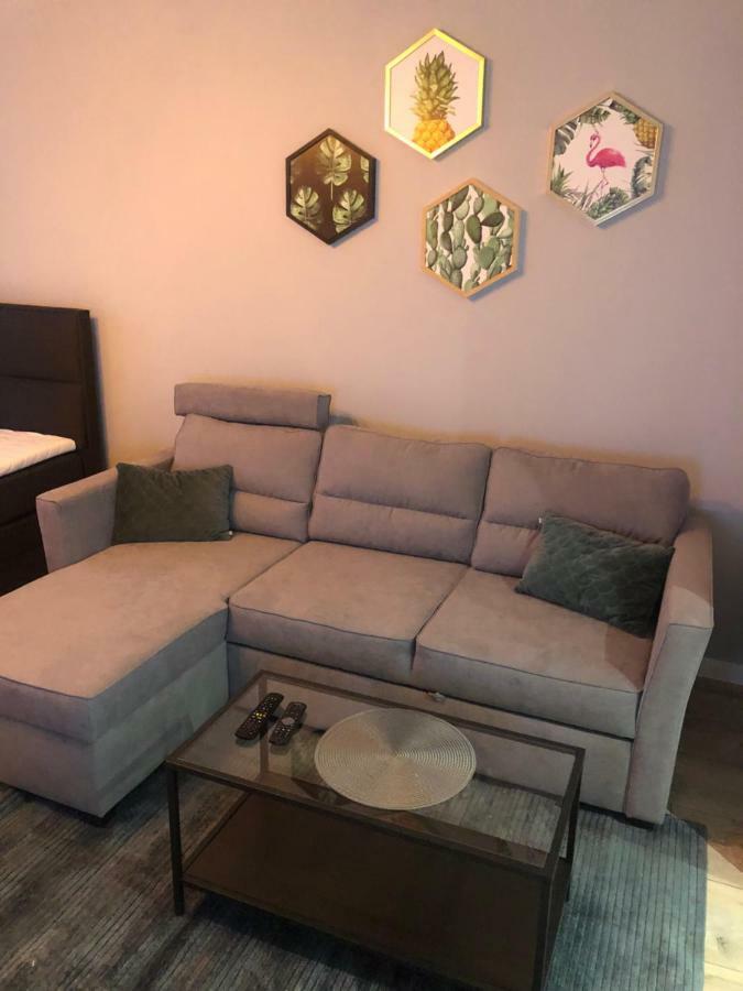 Apartament Flaming Z Balkonem - Scisle Centrum Naprzeciwko Pkp I Pks - Self Check In - Darmowy Parking - Pozne Wymeldowanie - Wystawiamy Fv Ополе Екстериор снимка